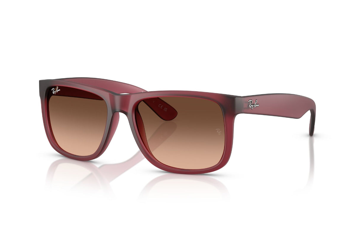 Ray-Ban Justin  -NOVEDAD